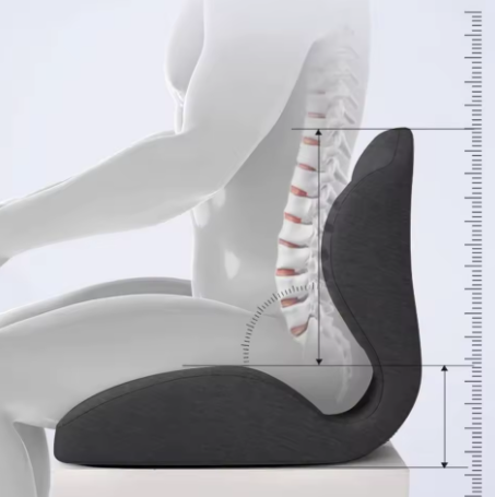 Easy Seat | Ergonomisch rugkussen