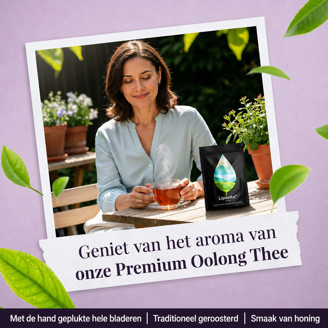Lipovita | Reinigende Oolongthee