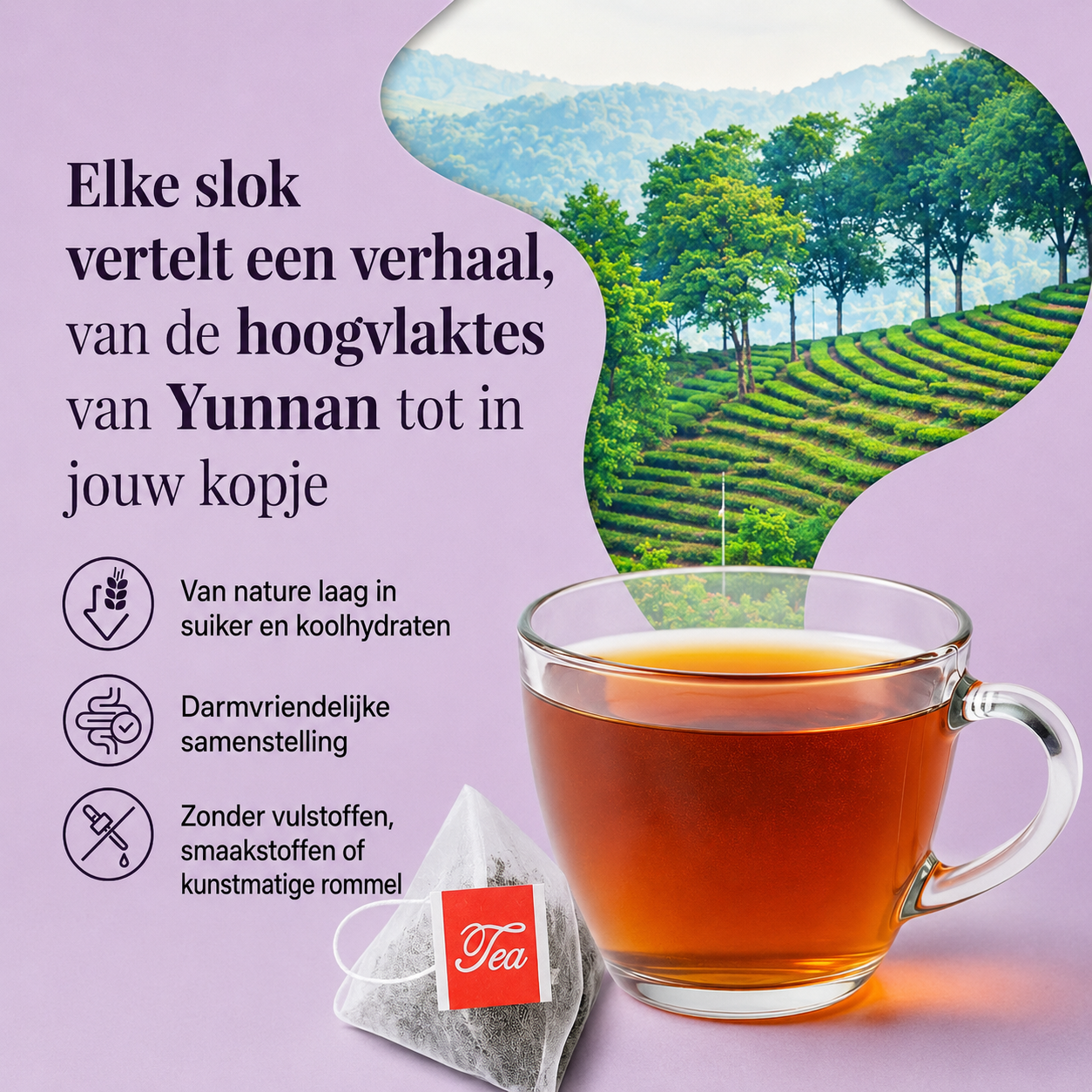 Lipovita | Reinigende Oolongthee
